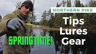 Northern Pike Fishing Tips and Gear [upl. by Mohamed109]