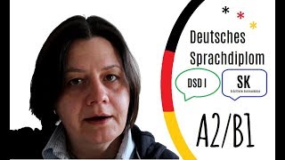 A2B1 SK im DSD I  Modellsatz 2  Thema Lesen [upl. by Garrot]