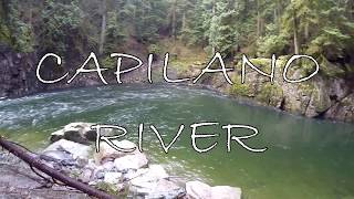 Capliano River Winter Steelhead [upl. by Pepito]