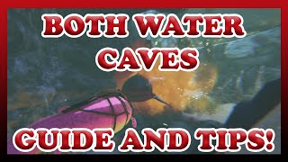 ARK  Both Water Caves  The Island  Guide and Tips  Official  Solo [upl. by Calie]