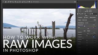 How to Work with RAW Images in Photoshop [upl. by Noremak30]