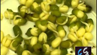 DIYTutorial sencillo germinados Brotes de soja [upl. by Fritzsche]