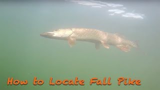 How to Locate Fall PikeFishing Tactics [upl. by Subak]